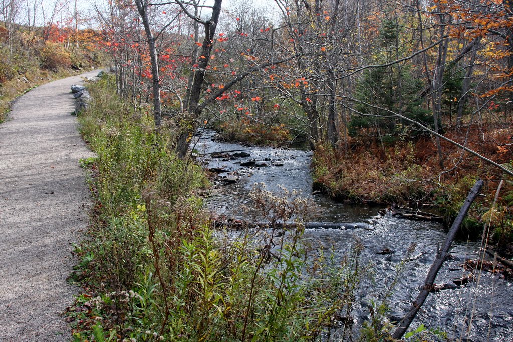 Rotary Park - GreenLink Trails, Sydney, NS - Shandwick Street Trail by Ken Heaton