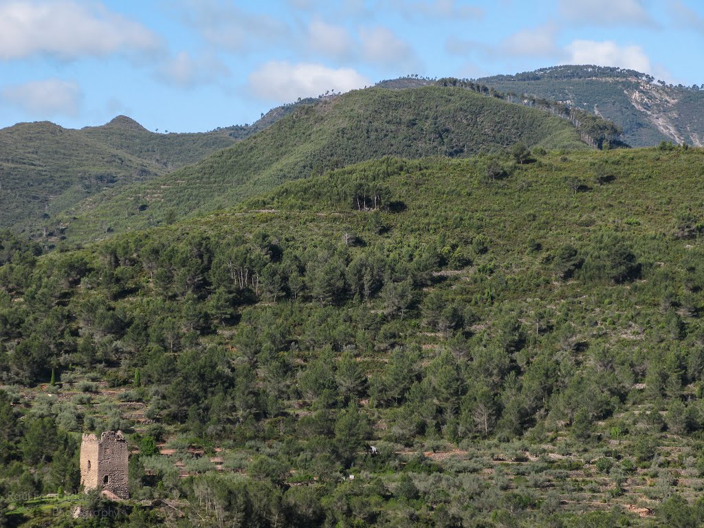 Torre del Castillo by Raul F.