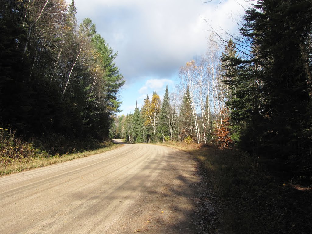 The Irondale Bancroft and Ottawa Railway (IB&O) ran along here from 1897 to 1960. The road is built on the old railway base, looking north. Try following the railway in the satellite photo. by Steve Manders