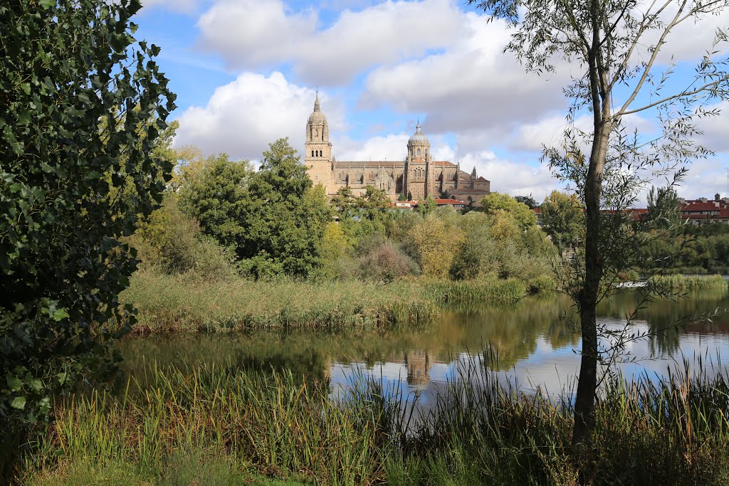 Otoño en Salamanca by afrocan