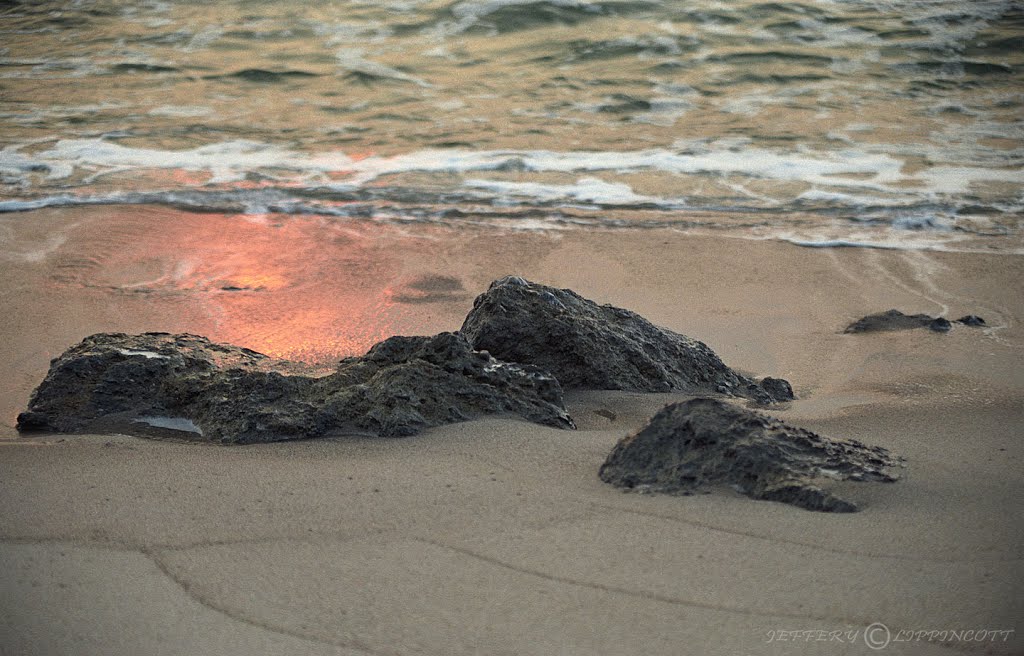 Exposed Coquina Rocks at Sunrise by Jeffrey Lippincott