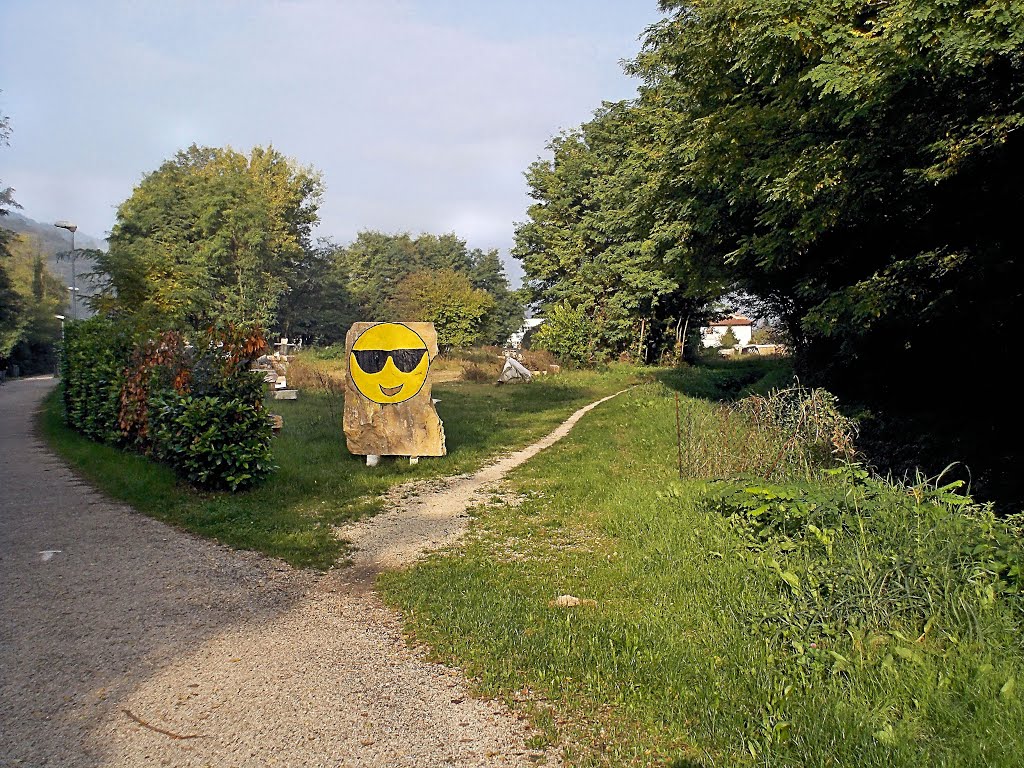 Faccina in pista ciclabile ovest Arzignano by Ronald Menti