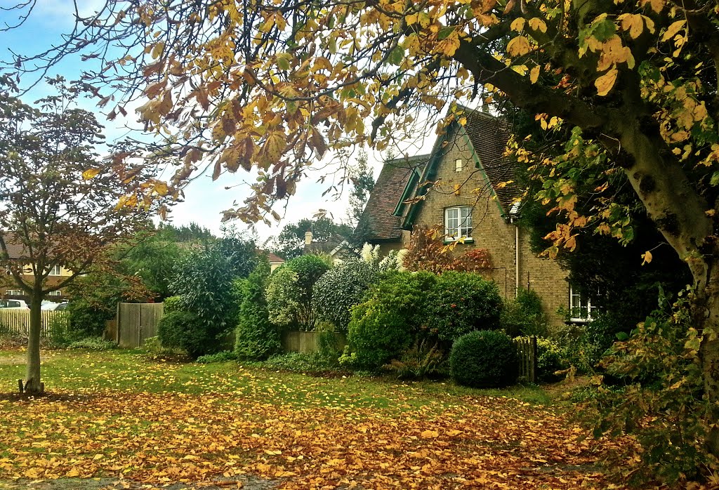 Wonderful house set back in the trees by CaptureTheMagic