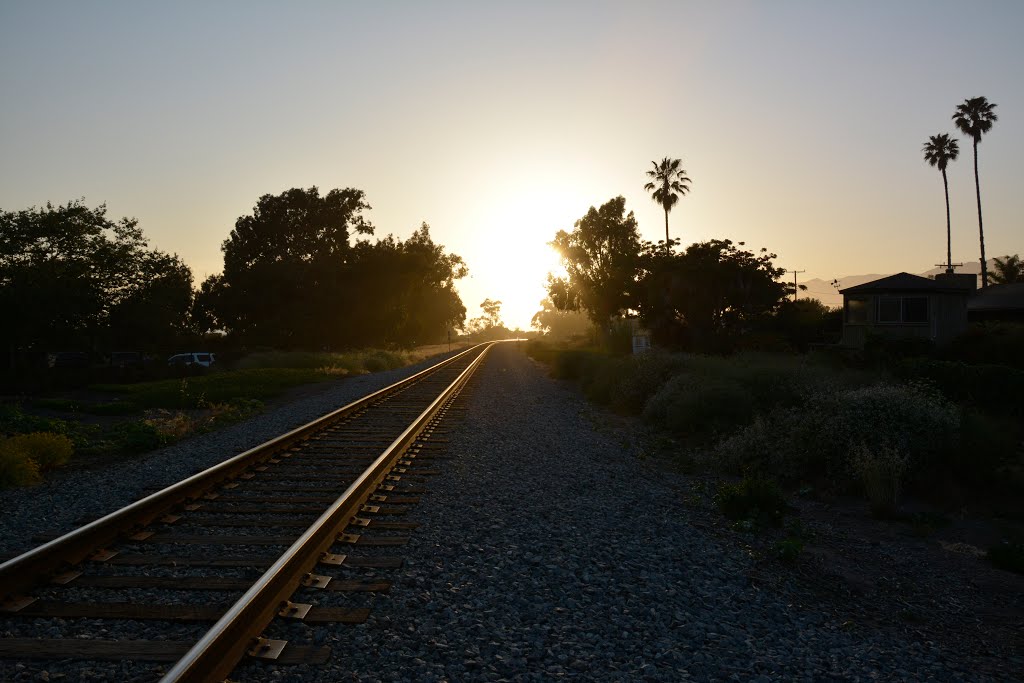 Tracks Toward the Sun by dcwood13