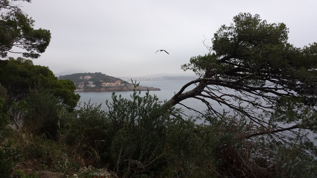 Vue sur l anse de Portissol et l île des Embiez, Sanary-sur-Mer by liovar