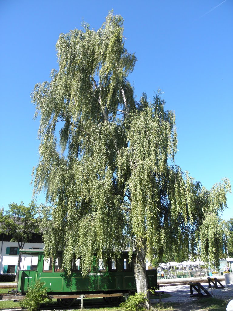 Chiemsee, Германия by *Cveta *