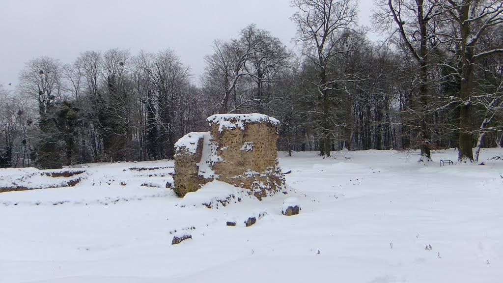 2012 - Neige à Allonnes by Mariaud Jacques