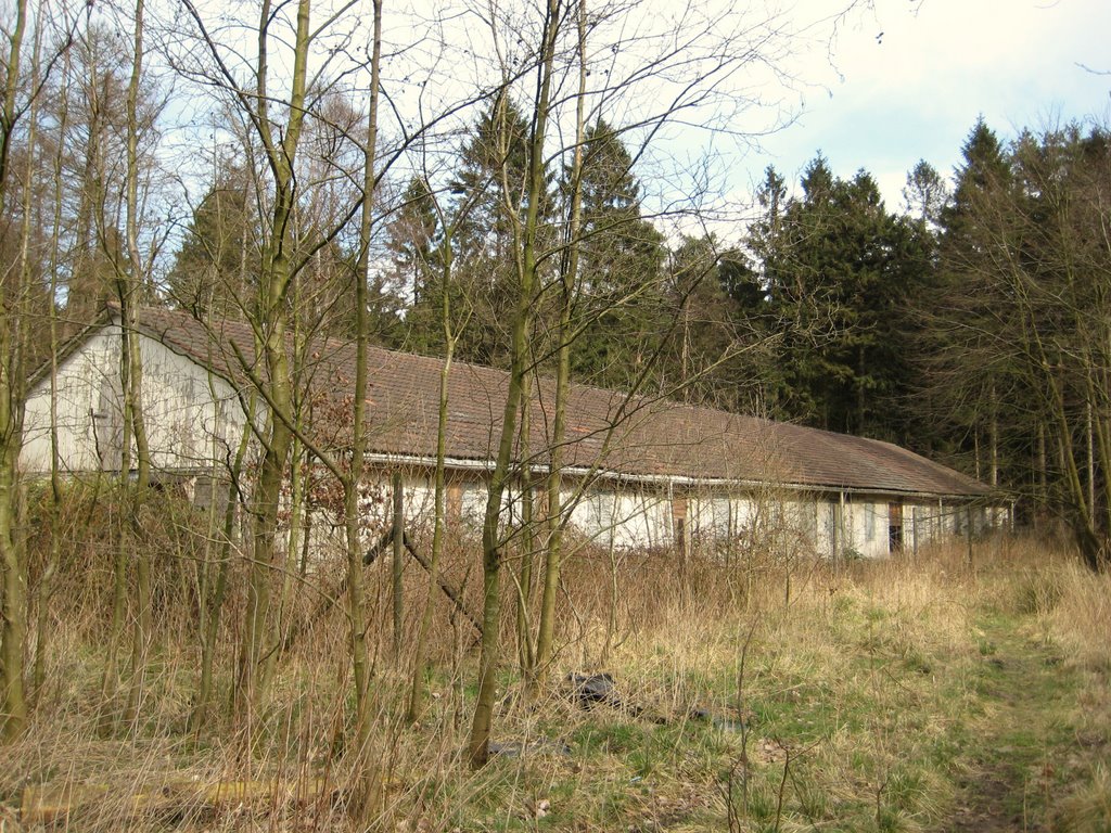 Drangstedt-Knüppelholz - Altes Waldkrankenhaus / Alte Baracke by Robert-68