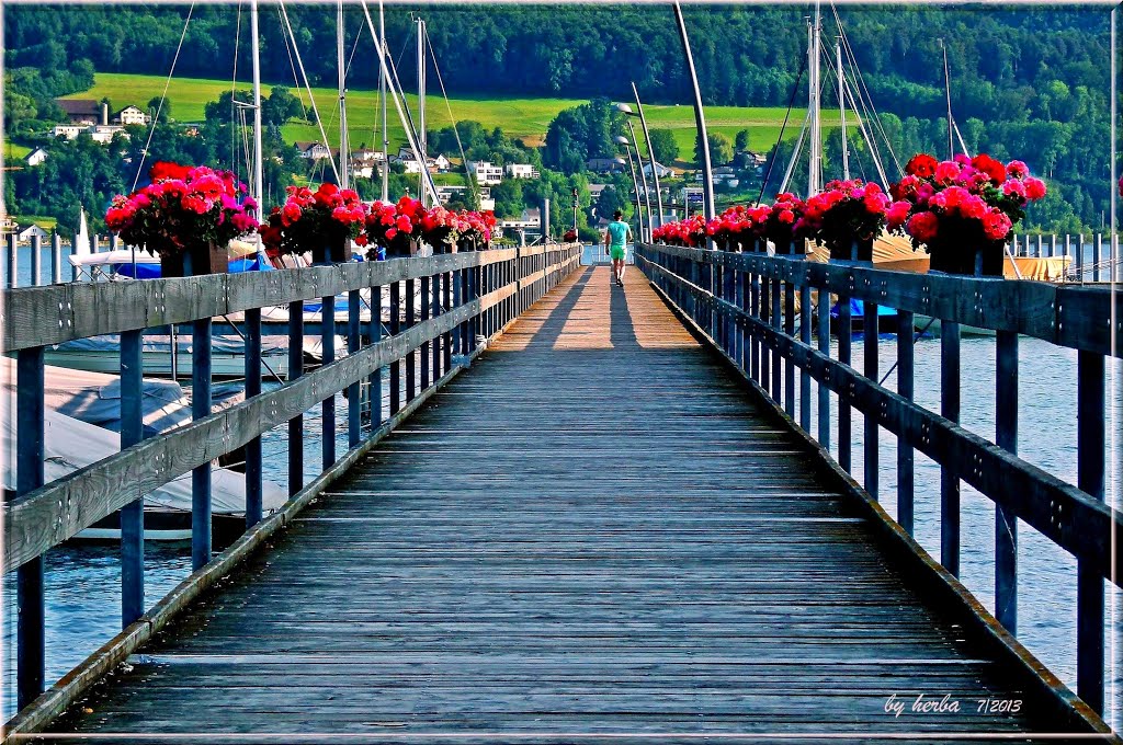 Der Steg in Hemmenhofen by herba