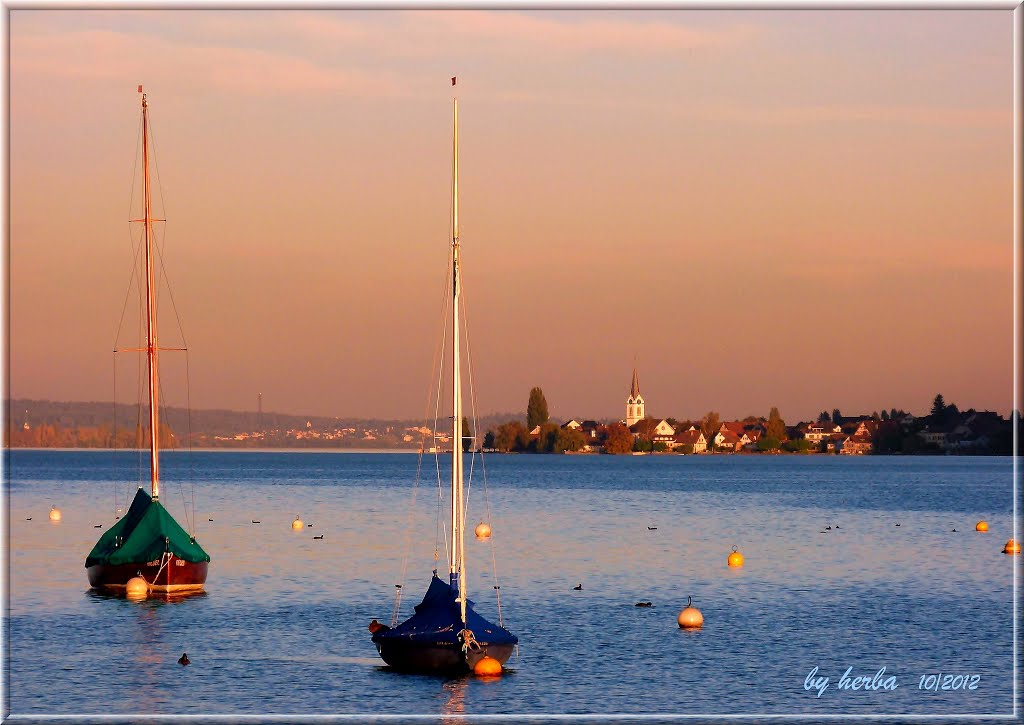 Blick über den Untersee nach Berlingen in der Schweiz by herba