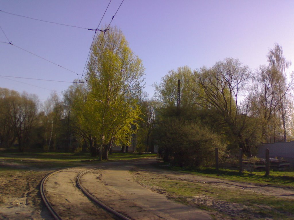 Tapeshu street, tram station by cat99