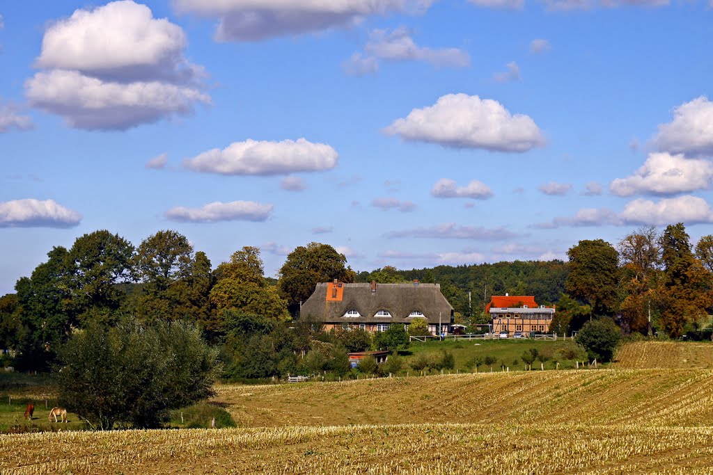 Mecklenburg -Autumn by Rainer D