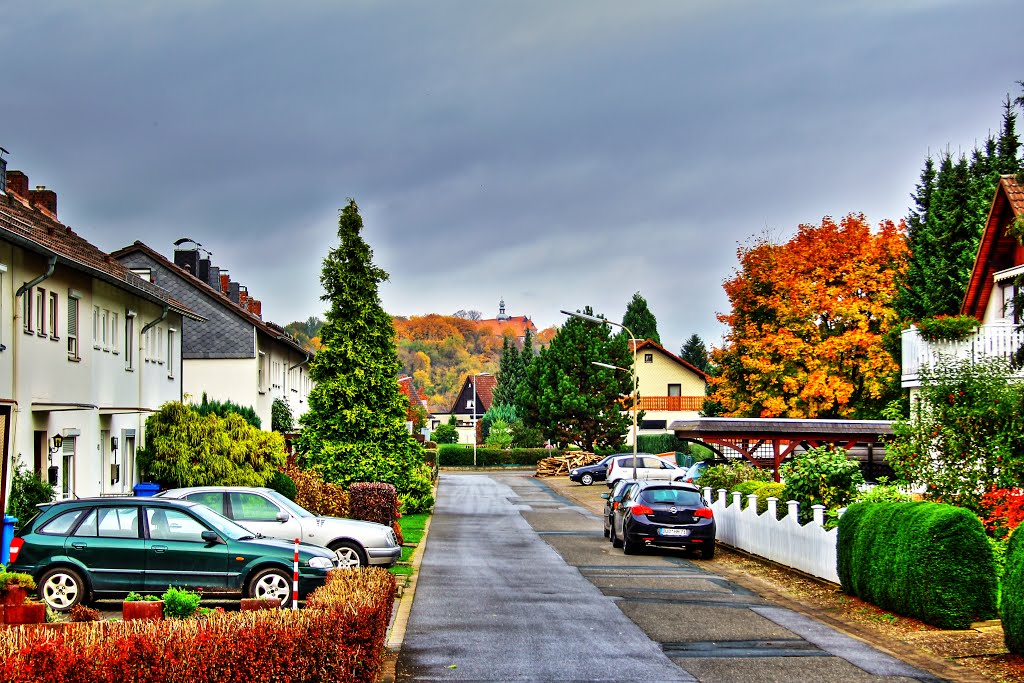 Auch von hier kann man das Schloss toll sehen ... ♥ by Boris Gonschorek