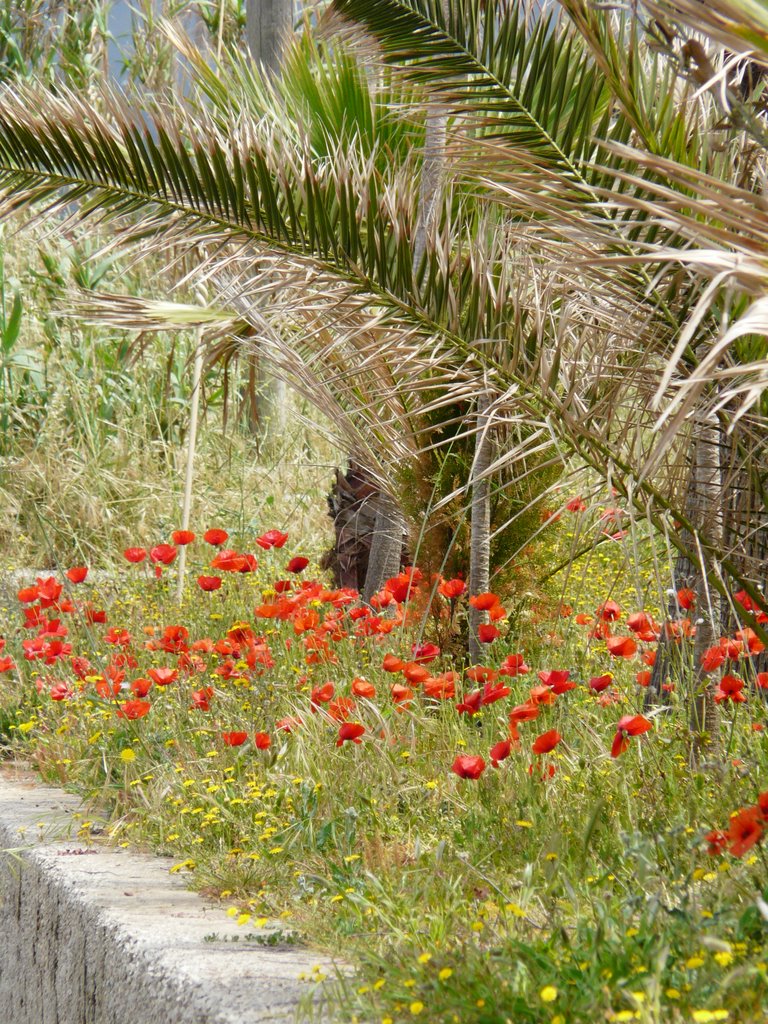 Blumen by Maro1998