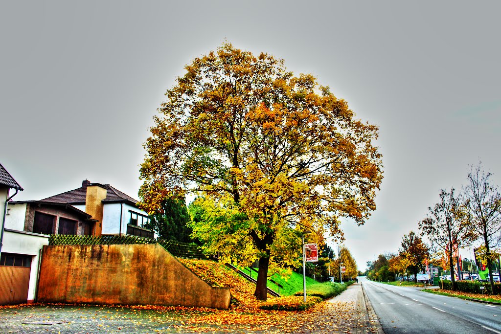 Duderstädterstraße mit Blick in Richtung Ortsausgang ... ♥ by Boris Gonschorek