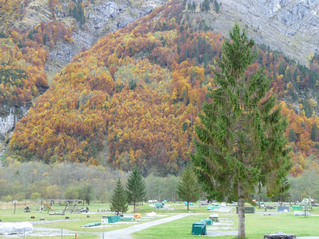 Aufgeräumter Campingplatz in Vorauen by bienenritter