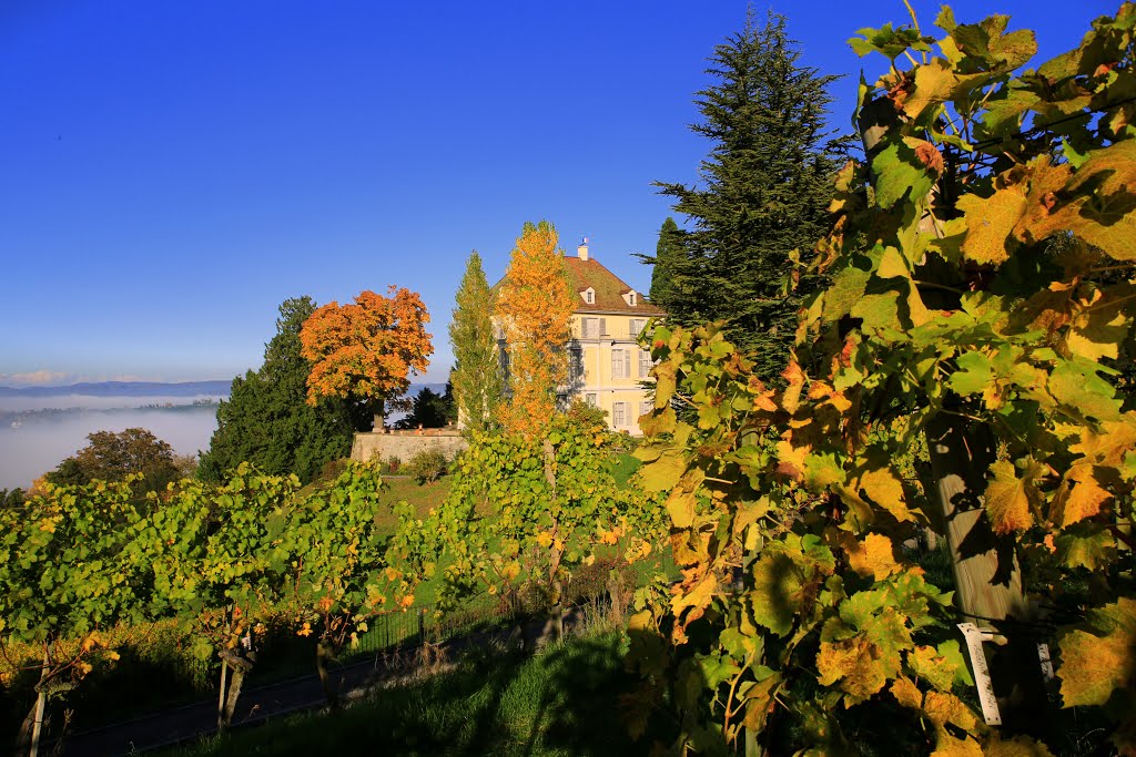 Herbst in Arenenberg und Salenstein by rudolf dubs