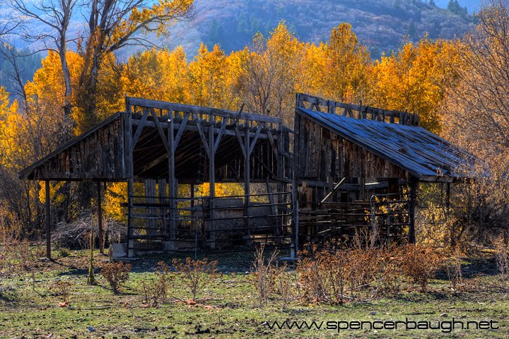 Remains of a barn by spencer baugh