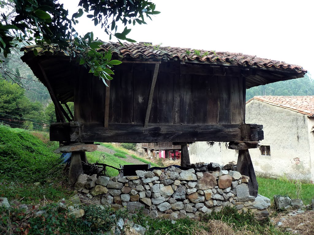 Cuevas del Agua, Ribadesella, Asturias, España by Antonio Alba