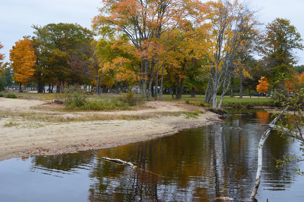 Ducks enjoying the inlet at Ellacoya by dchogan