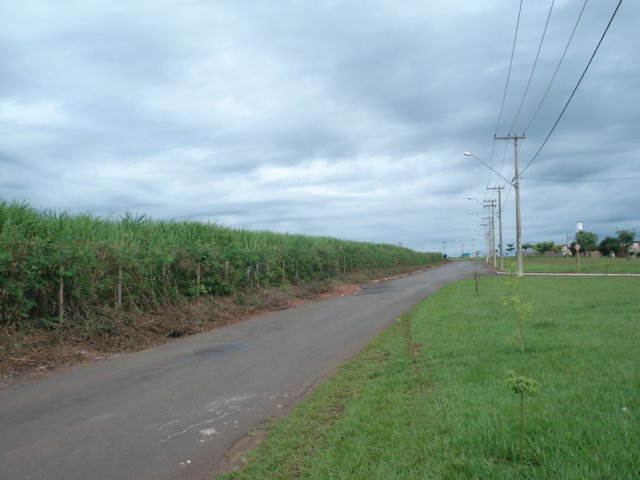 Via Novela - ligação bairro rodovia by LPSLPS