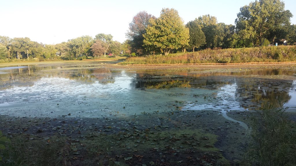 Terrace View pond on Crystal side facing east by sheilafromer881@gmail..com