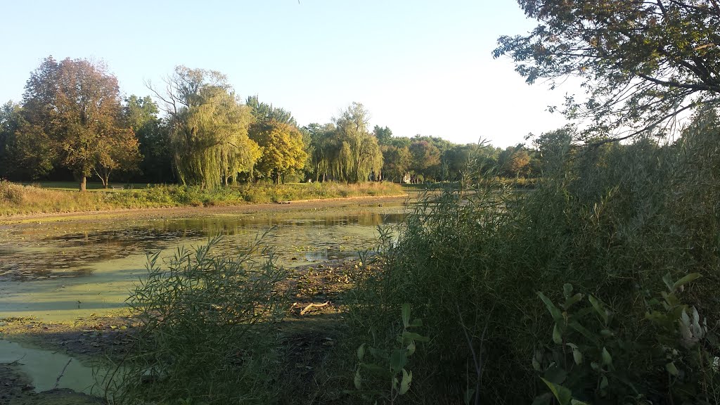 Terrace View Pond coming around corner on path from Crystal side to Elizabeth side by sheilafromer881@gmail..com