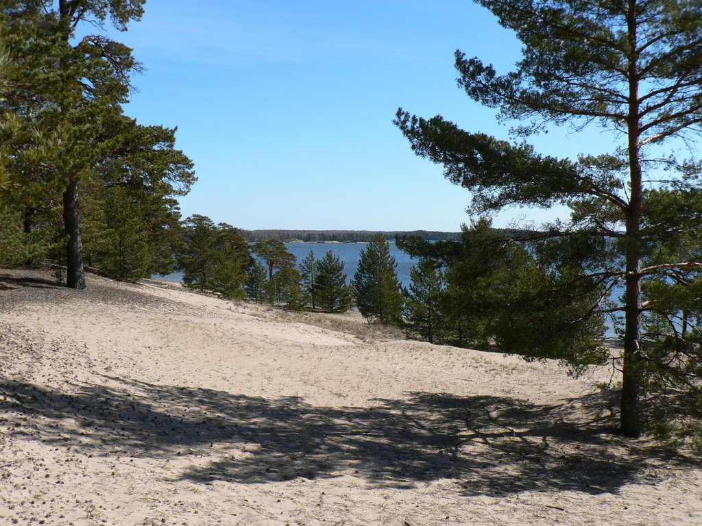 Sandy hill on the beach in Lappohja (Lappvik), April 2008 by jarmo_luotonen