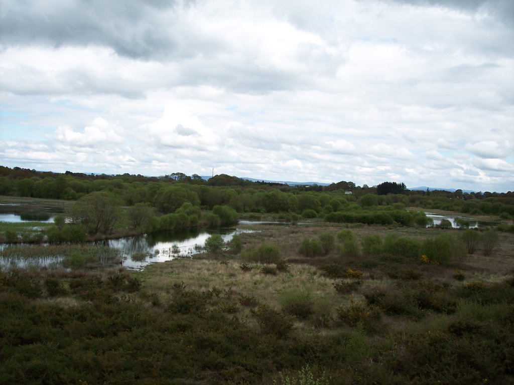 Lagoa de Cospeito by Gasamáns de Conxo