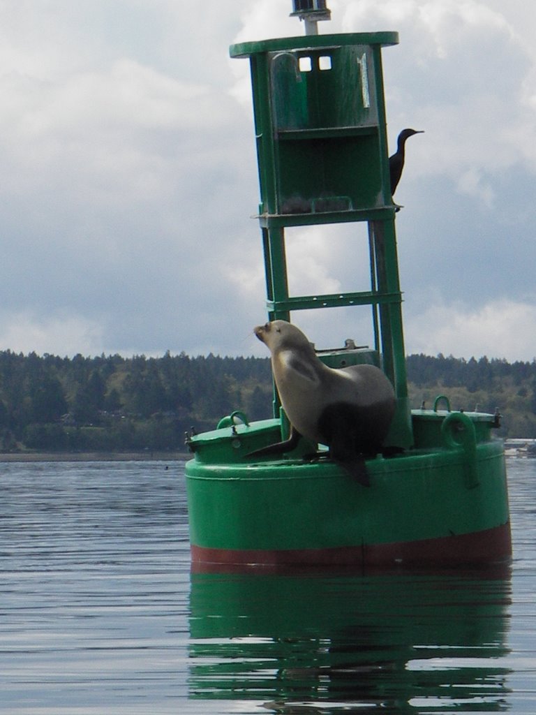 Buoy at Nisqually Delta by adventures