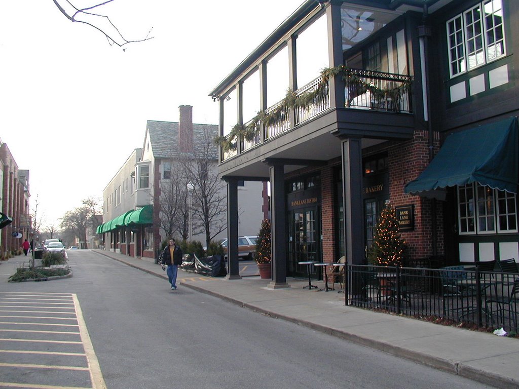 Downtown Lake Forest Streetscape by 0599