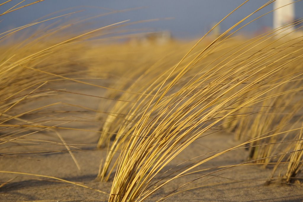 Noordwijk - The Beach by Paolo Vercesi