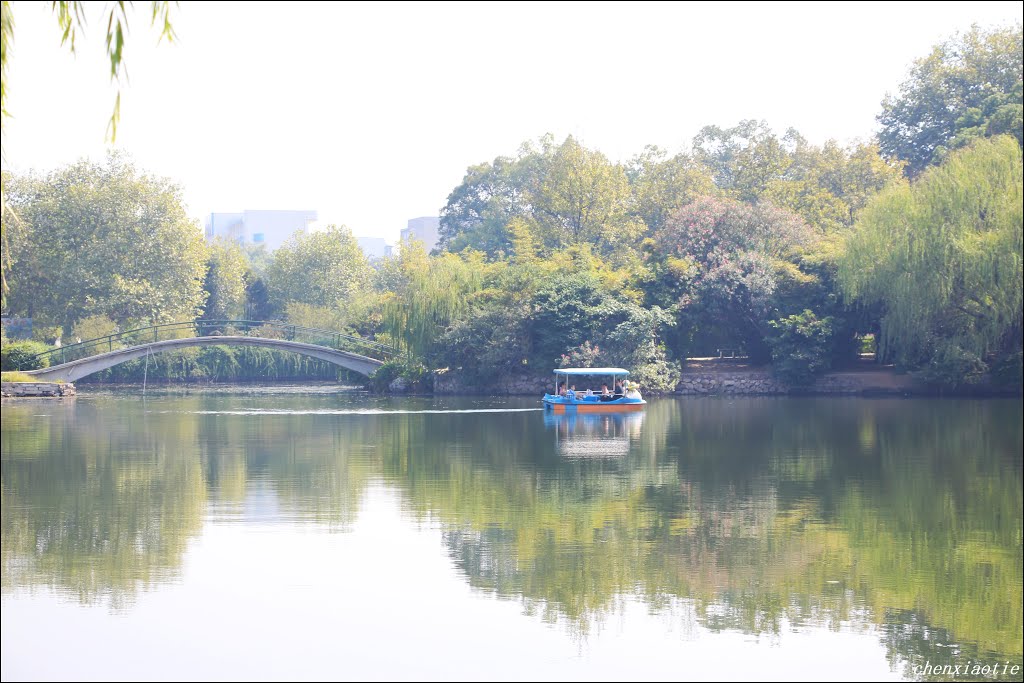 湘潭雨湖公园 by chenxiaotie