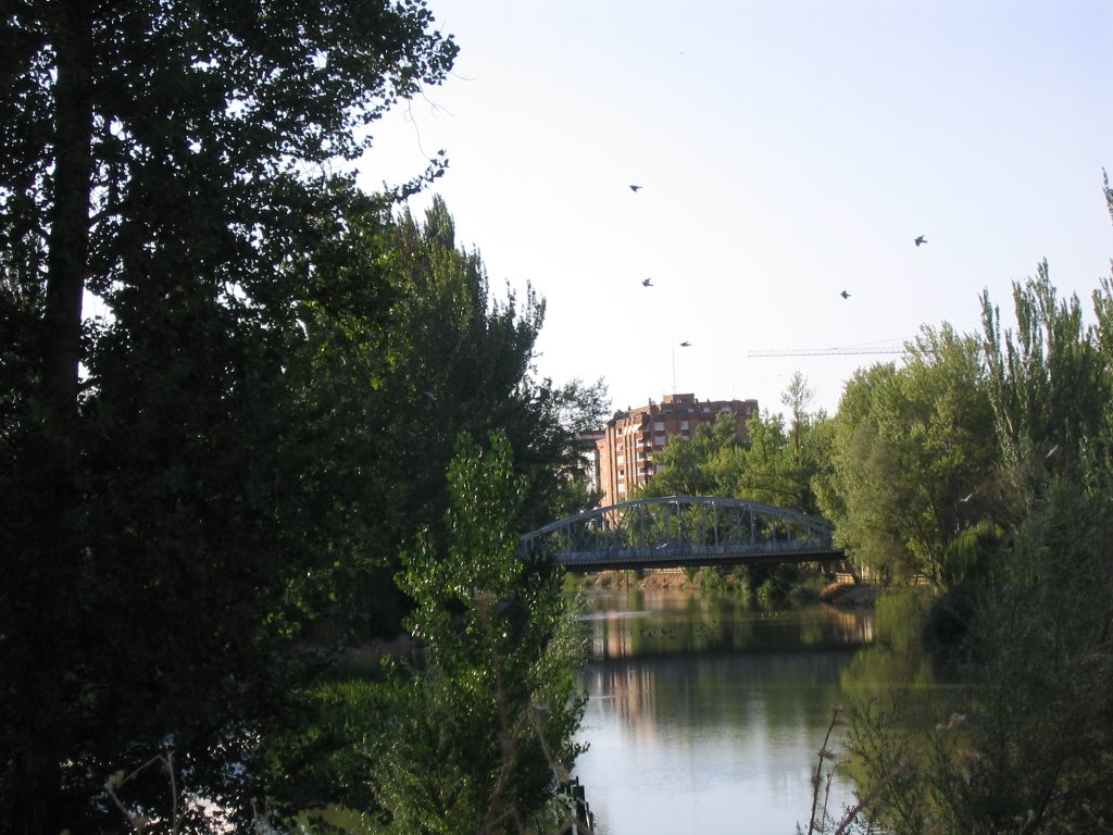 Puente de Hierro, sobre el río Carrión by © pelices