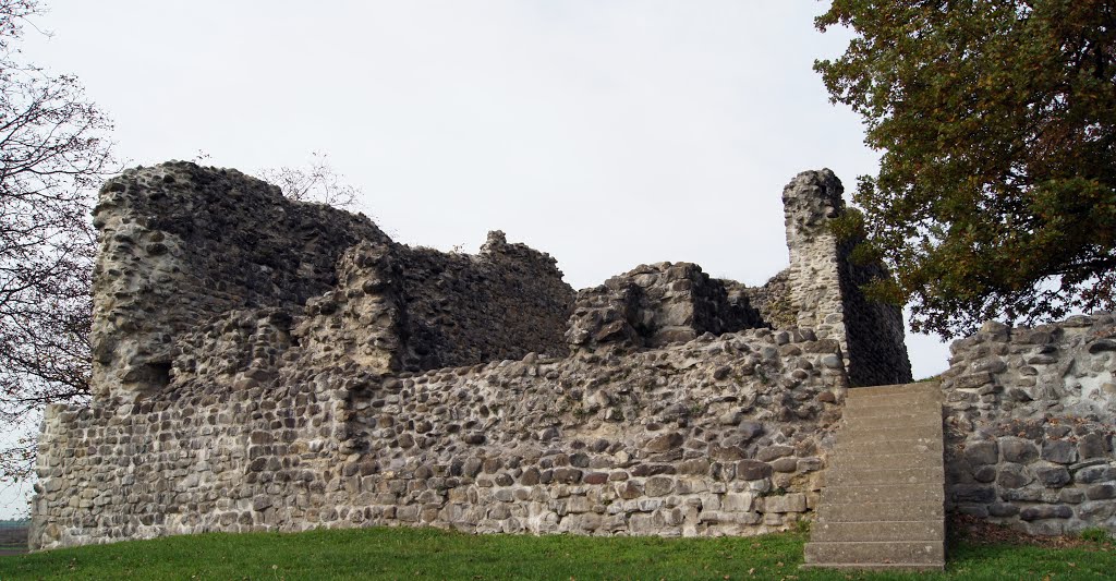 Ruine Helfenberg by salfredo