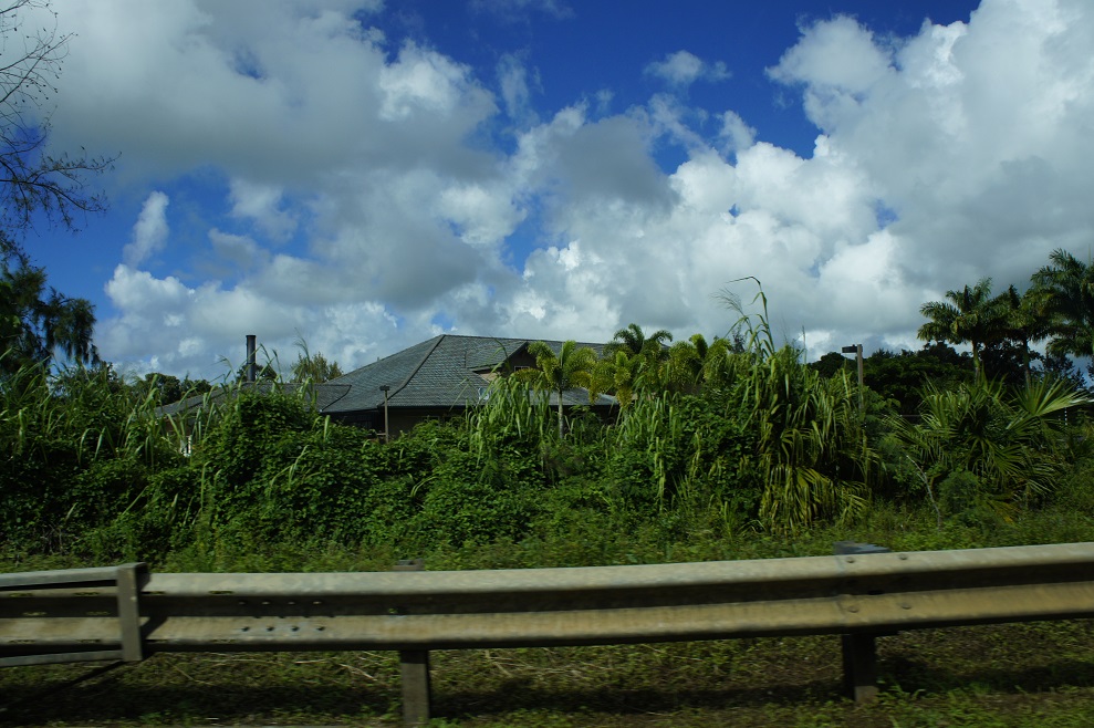 Kauai Humane Society by Paul HART