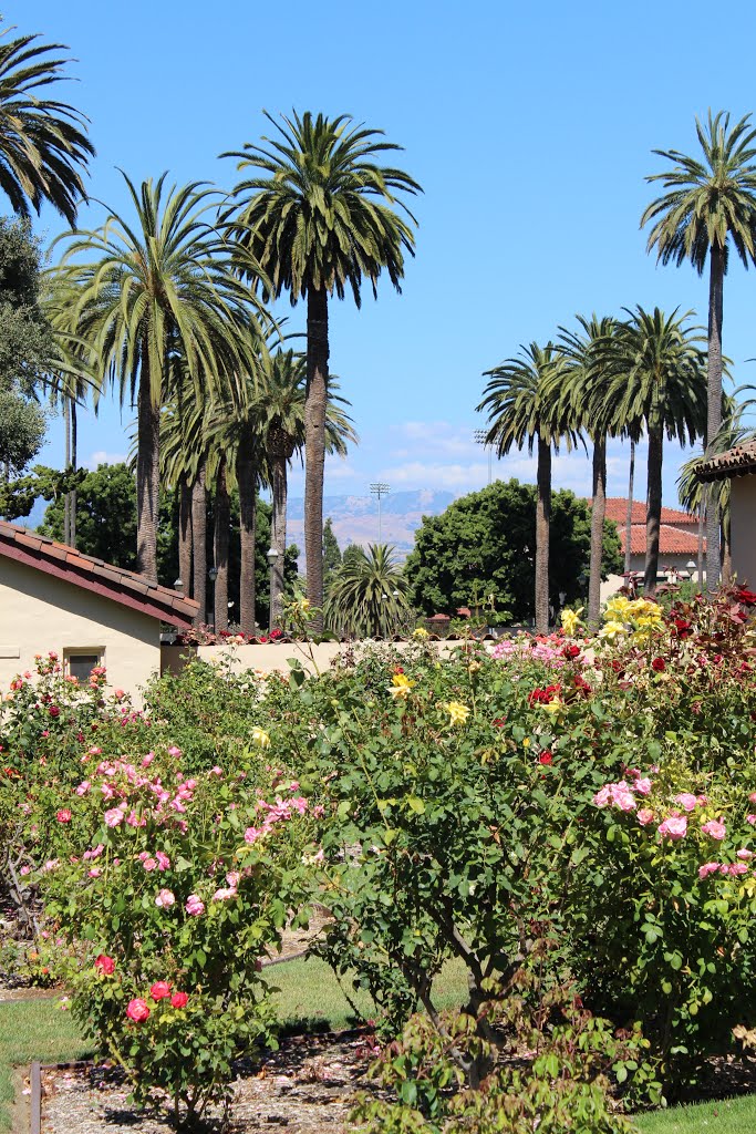 Santa Clara, CA USA - Santa Clara University by MARELBU