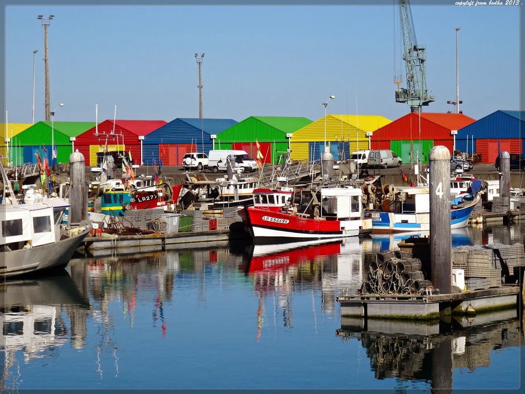 France-La Rochelle-port de peche de La Pallice-aout-2013 by bodha