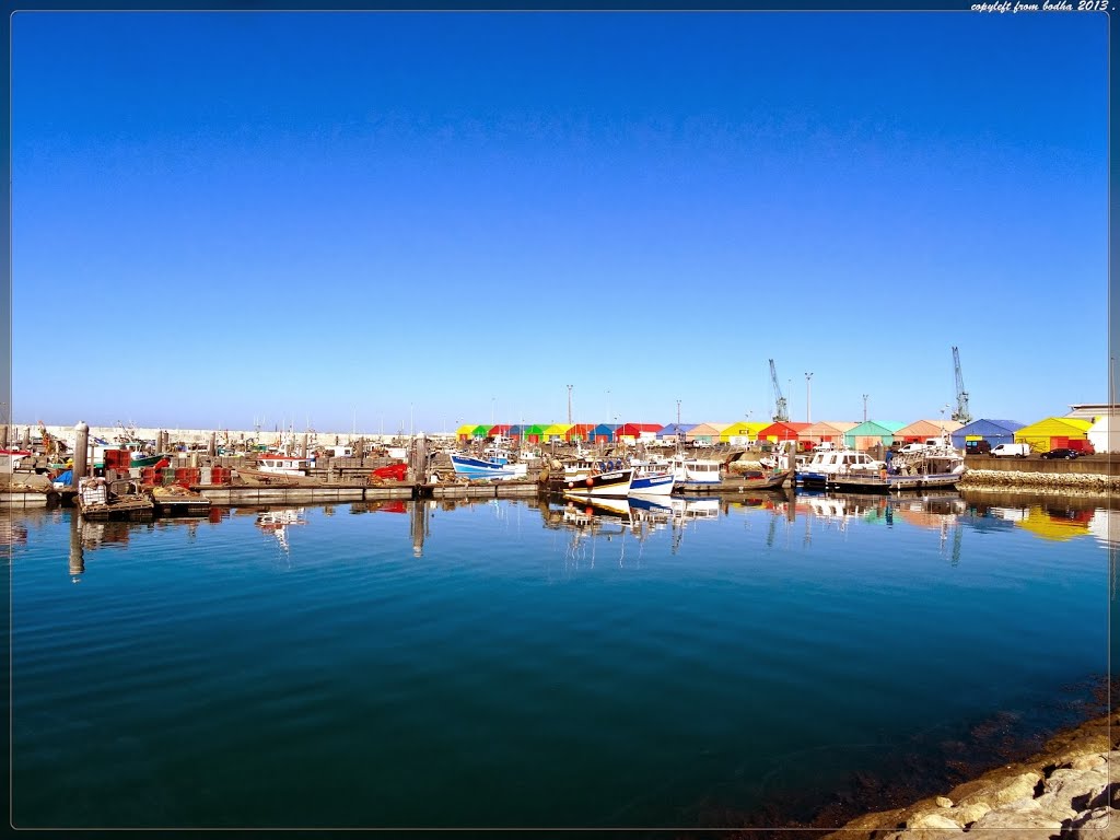 France-La Rochelle-port de peche de La Pallice-aout-2013 by bodha