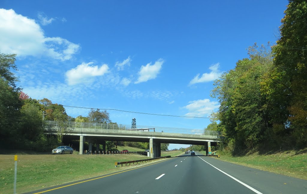 Werimus Road Overpass by Adam Elmquist