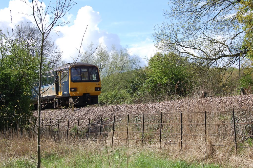 Severn beach train by funkybunch