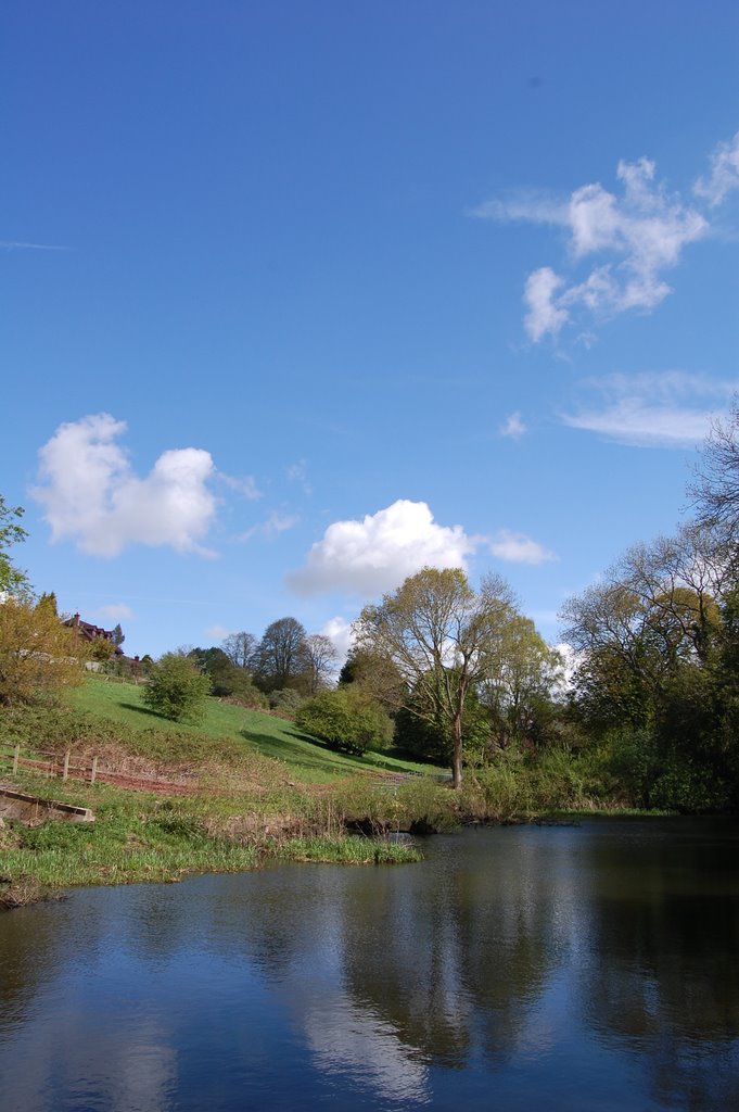 Pond on a beautiful spring day by funkybunch