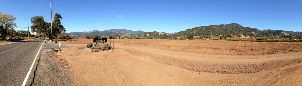 New Silver Oak vineyards (formerly Sausal), Healdsburg, CA by Elliot Kallen