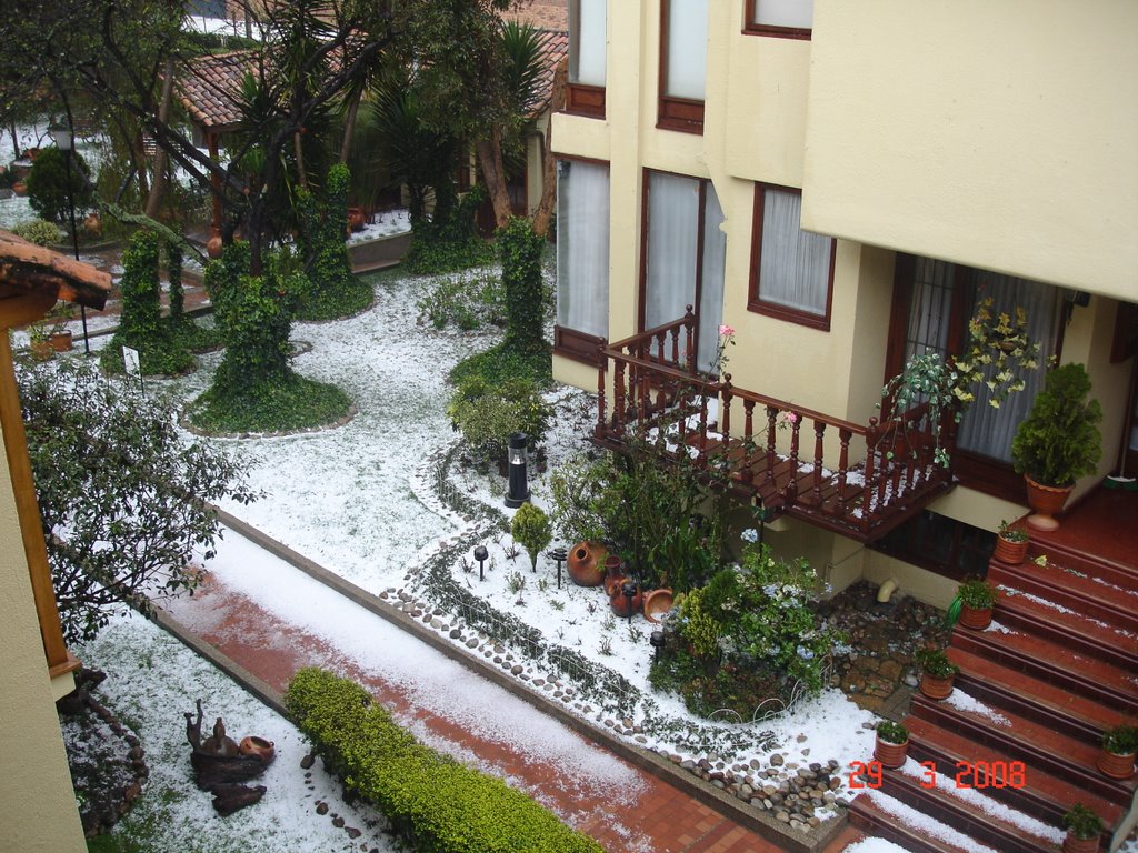 Granizada en El Pinar de La Calleja by Fernando Pardo Castro