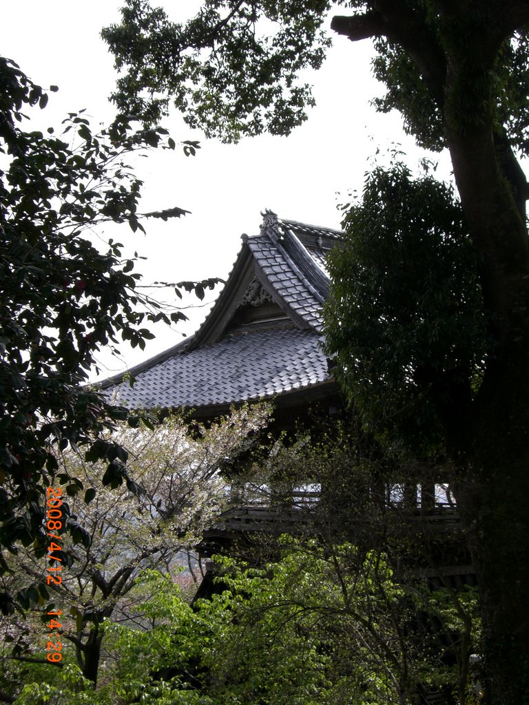 Motogi, Sakuragawa, Ibaraki Prefecture 309-1231, Japan by tanahei