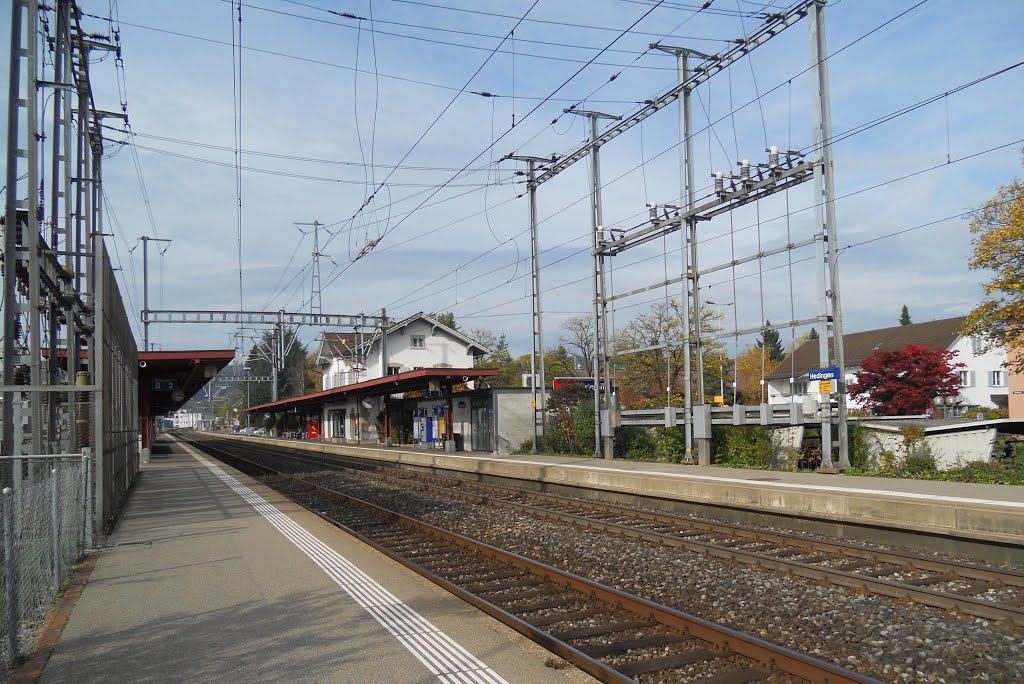 Hedingen, Bahnhof (2013.10) by schweiz.liz