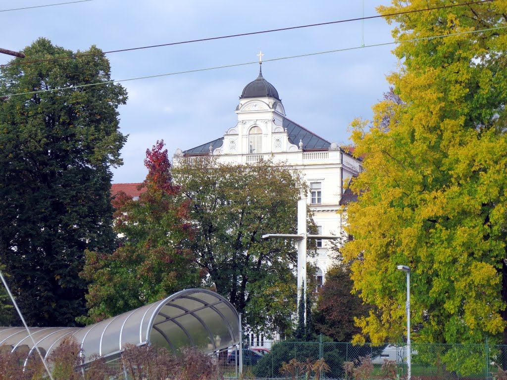 Škofovi zavodi by Kasius Klej