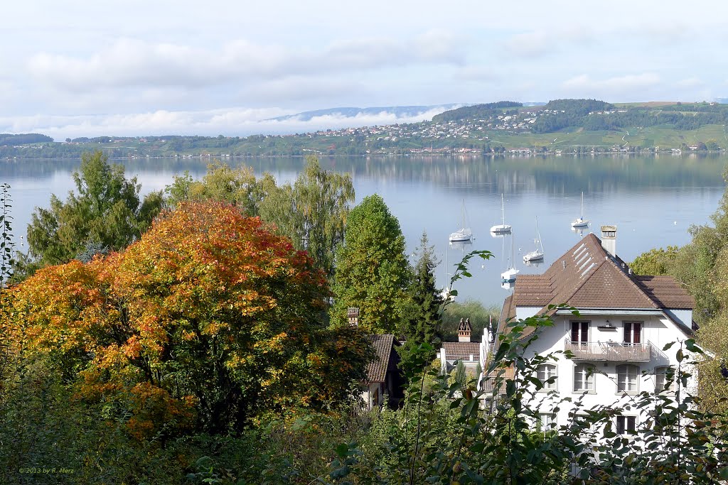 Aussicht beim Lindensaal / View from the Lindensaal {near the Castle of Murten} by Merz_René