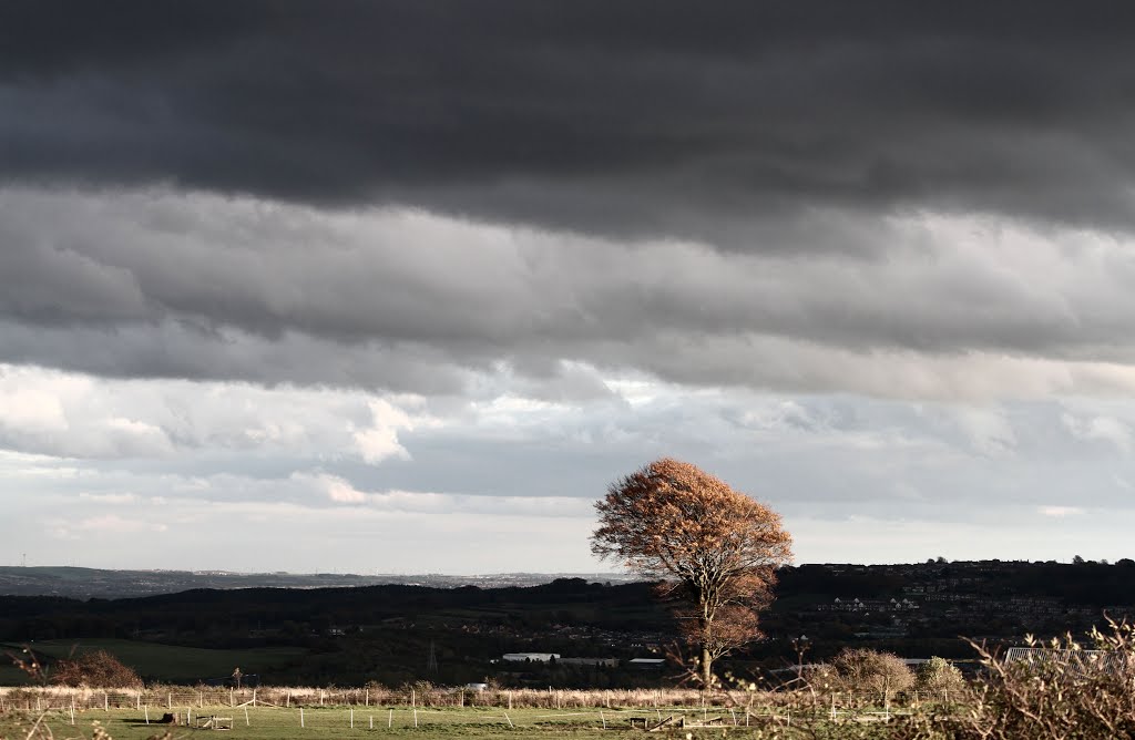 View from Wigham Terrace, Hobson by gavinengel