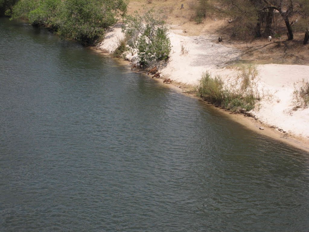 Kavango from Bagani Bridge by Gerhard Zdzuj